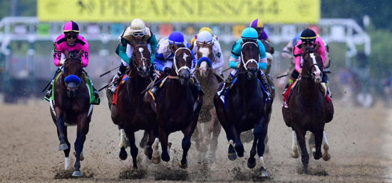 Preakness Stakes Picks 2021