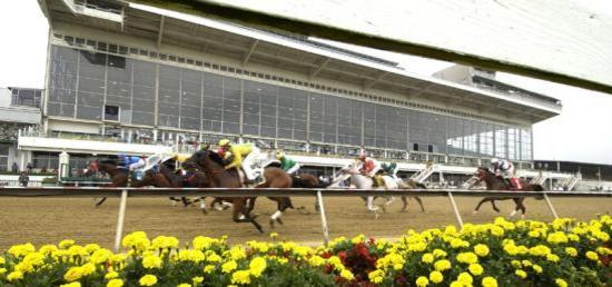 Pimlico Race Course