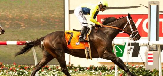 Distaff Sprinters Meet Saturday in The Bed O' Roses Handicap
