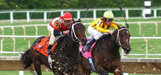 Grade I $500,000 King's Bishop Awash with Talent
