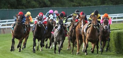 $100,000 Yankee Affair Stakes Draws Six on Turf