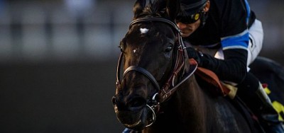 $5 Million Breeders' Cup Classic a Showdown for Horse of the Year