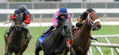 Angles Abound in Opening Verse