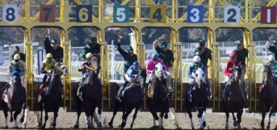 Buggin Out Tops Eight Rivals in the $50,000 Magic City