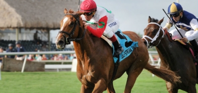 Chad Brown Loaded With Five Starters in $200,000 National Racing Museum Hall of Fame Stakes