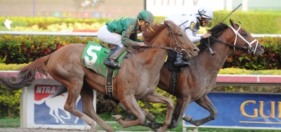 Commissioner Tops Field For $300,000 Pimlico Special