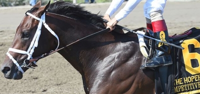 Competitive Edge Puts Undefeated Streak on the Line in $500,000 Woody Stephens
