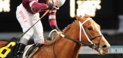 Competitive Field of Seven Set for $250,000 Razorback Handicap
