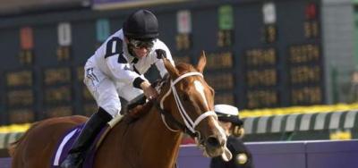 Coup de Grace Tops Loaded Field for $500,000 King's Bishop