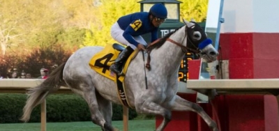 Cupid Points Arrow at $1 Million Arkansas Derby