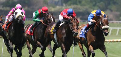 Del Mar Begins with the $100,000 Oceanside Stakes