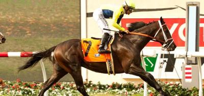 Distaff Sprinters Meet Saturday in The Bed O' Roses Handicap