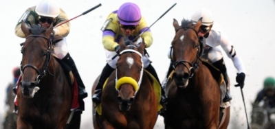 Frosty Margarita Seeking First Stakes Win in $100,000 Key Cent Stakes