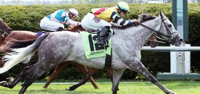 Full Field of Turf Routers Ready for $125,000 Dowager Stakes