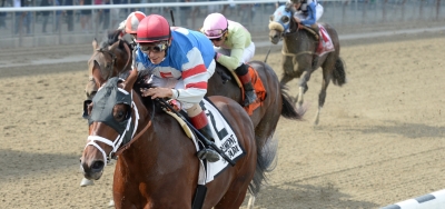 Good Luck Gus Headlines Field for $100,000 Notebook Stakes