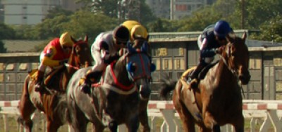 Grade 3 Phoenix Marks First Dirt Stakes at Keeneland Since '06
