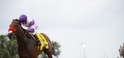 Gun Runner Scratch Sets Up Nyquist v Exaggerator V in Preakness