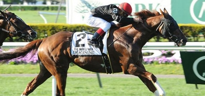 Imagining Seeks to Repeat in $400,000 Man O' War Stakes