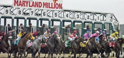 Majestic Affair Headlines Field for $100,000 Frank Whiteley Jr. Stakes