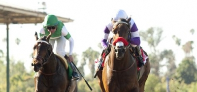 New Shooters Threaten Nyquist in Preakness Stakes