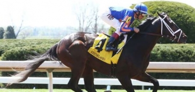 No Reason Not to Like Stradivari in 2016 Belmont Stakes