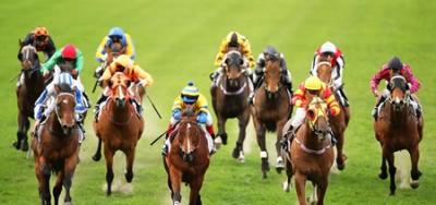 Superstar Palace Malice Looms Over Grade I Whitney Field