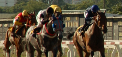 Pletcher Pair Formidable in $100,000 Curlin Stakes