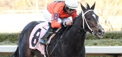 Sarah Sis Looms As Favorite in $350,000 Charles Town Oaks