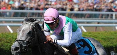 Six Set to Go in Grade 2 Goldikova