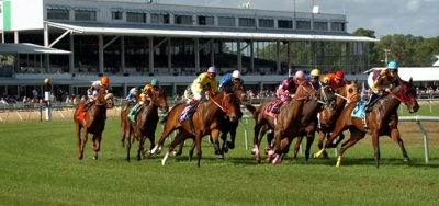 Sky Flight Takes On Full Field in $150,000 Tampa Bay Stakes