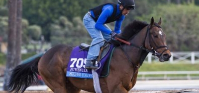Souper Colossal Trying the Turf in $75,000 Texas Glitter Stakes