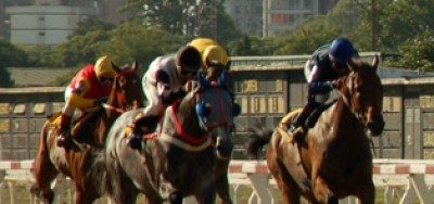 Speedy Vosburgh Field Makes For Tricky Betting Race