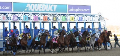 Stakes Debut for Promising Mohaymen in $200,000 Nashua Stakes