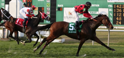 String King Looks for Fourth Win in $100,000 Louisiana Champions Day Turf
