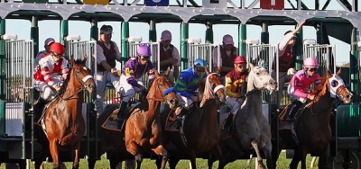 Ten Set to Line Up for $75,000 Valley Forge Stakes