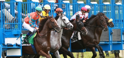 Ten State-Bred Fillies Set for $100,000 New York Stallion Stakes