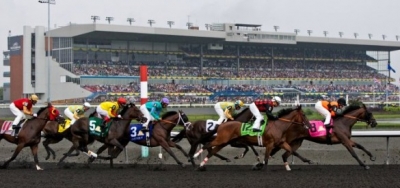 Top Contenders in Form for Grade 2 Autumn Stakes