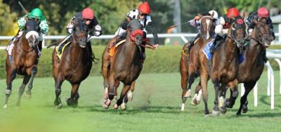 Turf Test For Fillies And Mares in The Eatontown at Monmouth