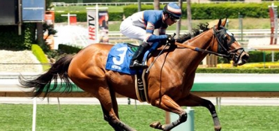 Undefeated Sunday Rules the Heavy Favorite in $150,000 Spring Fever Stakes