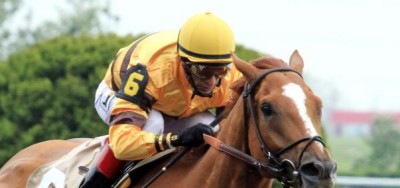 Wise Dan's Breeders' Cup Scratch Will Be Felt at the Windows