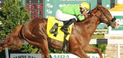 X Y Jet Takes on Eight Rivals in $100,000 Pasco Stakes